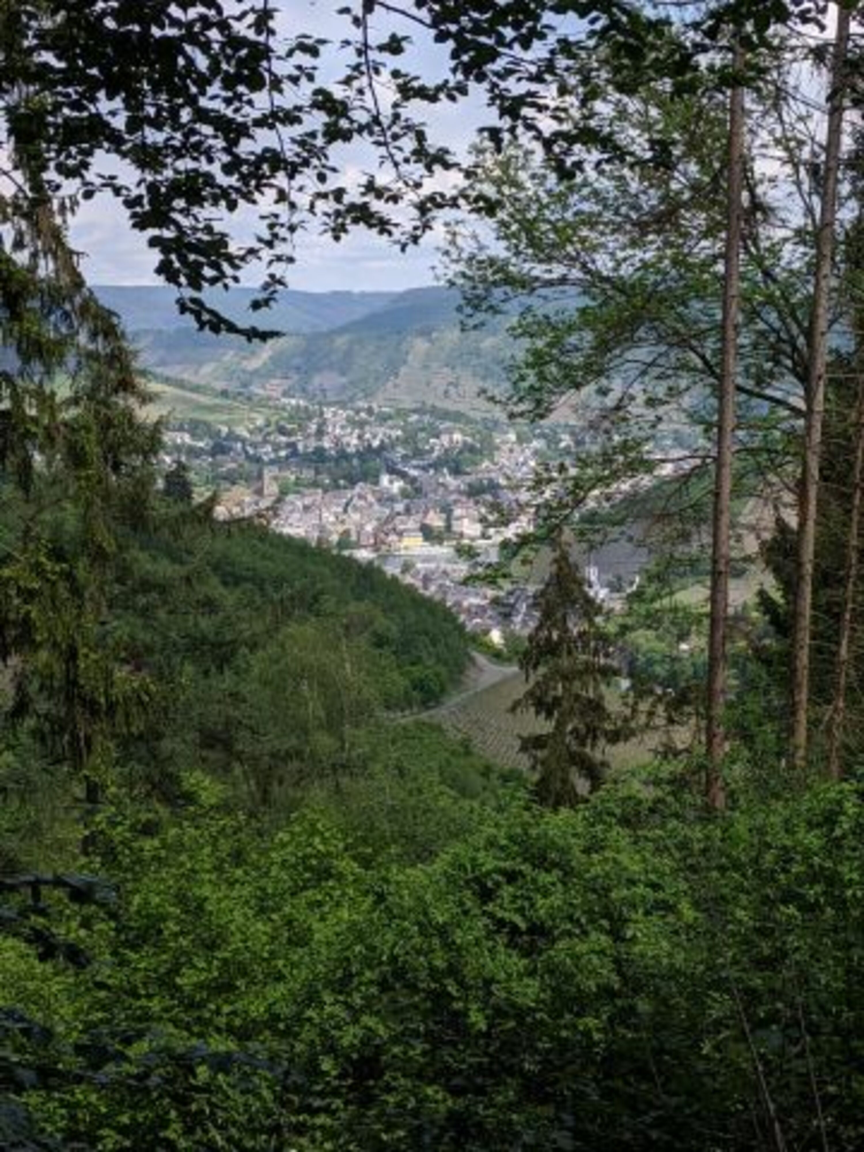 Bild 10