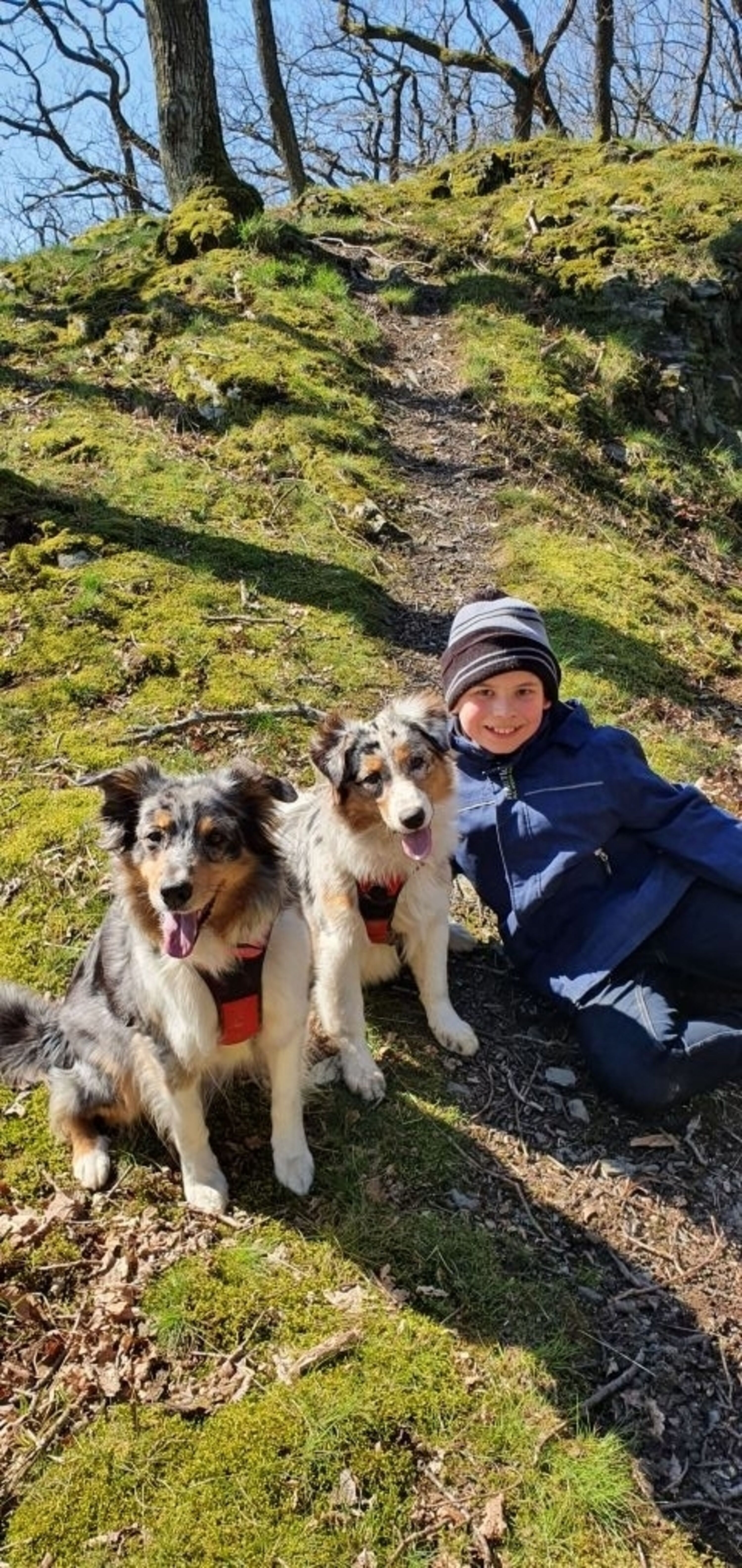 Bild 16