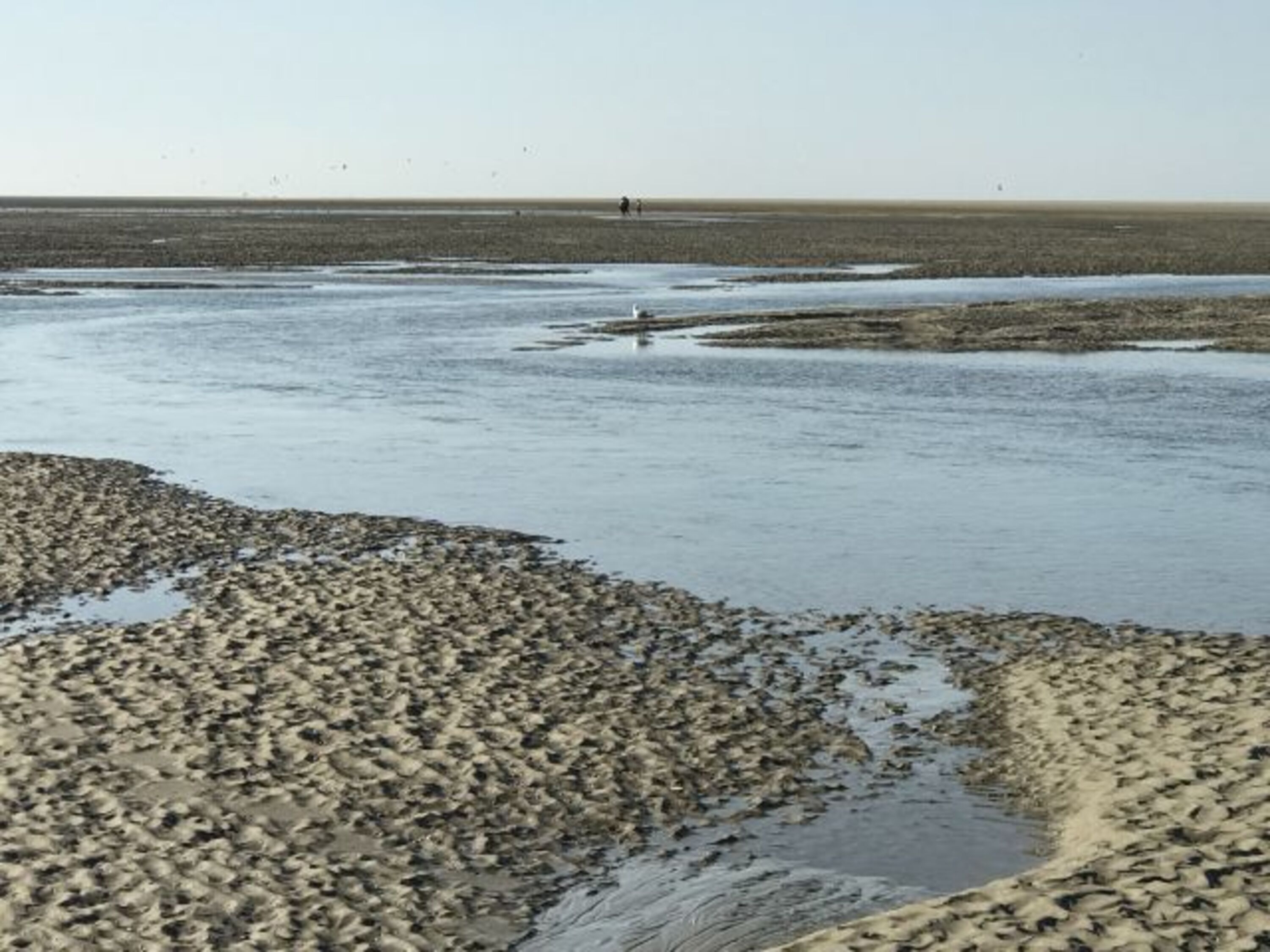 Ebbe in Renesse