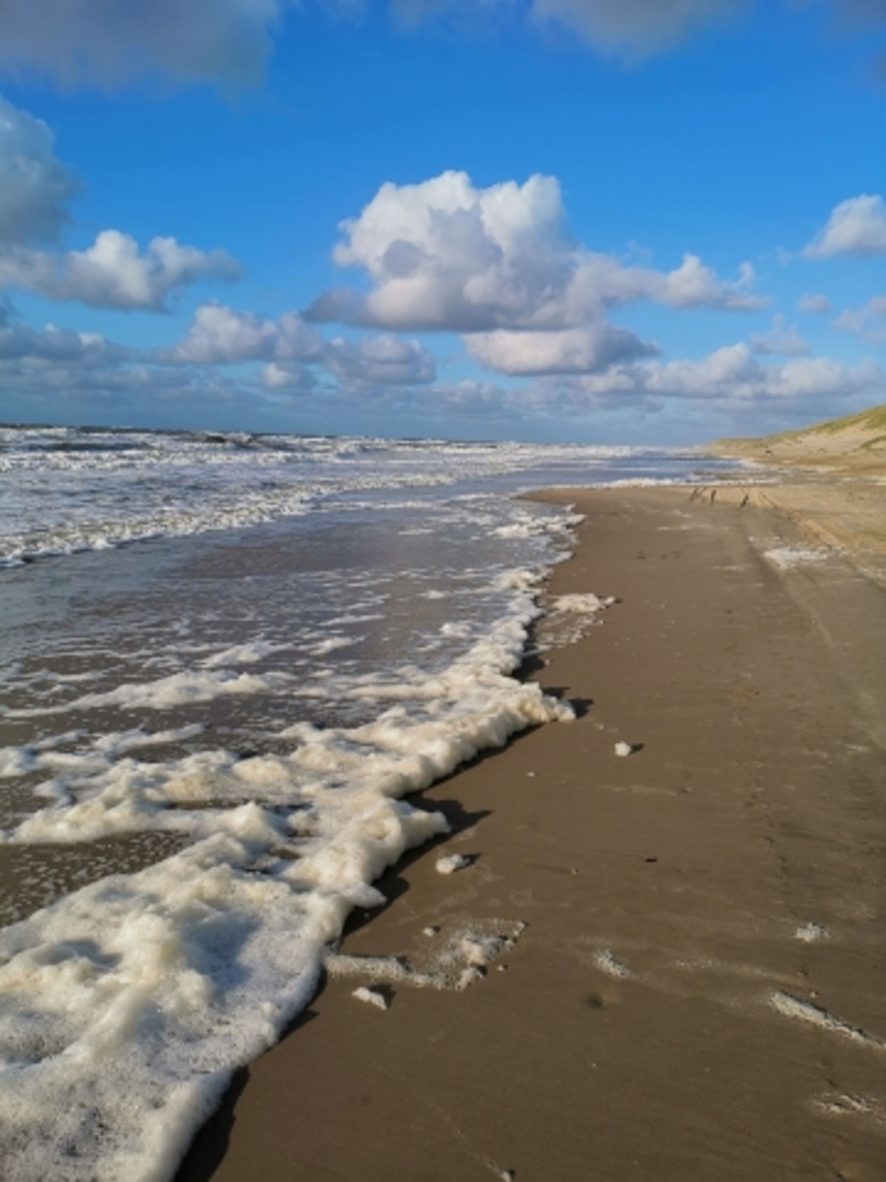 Bild 19