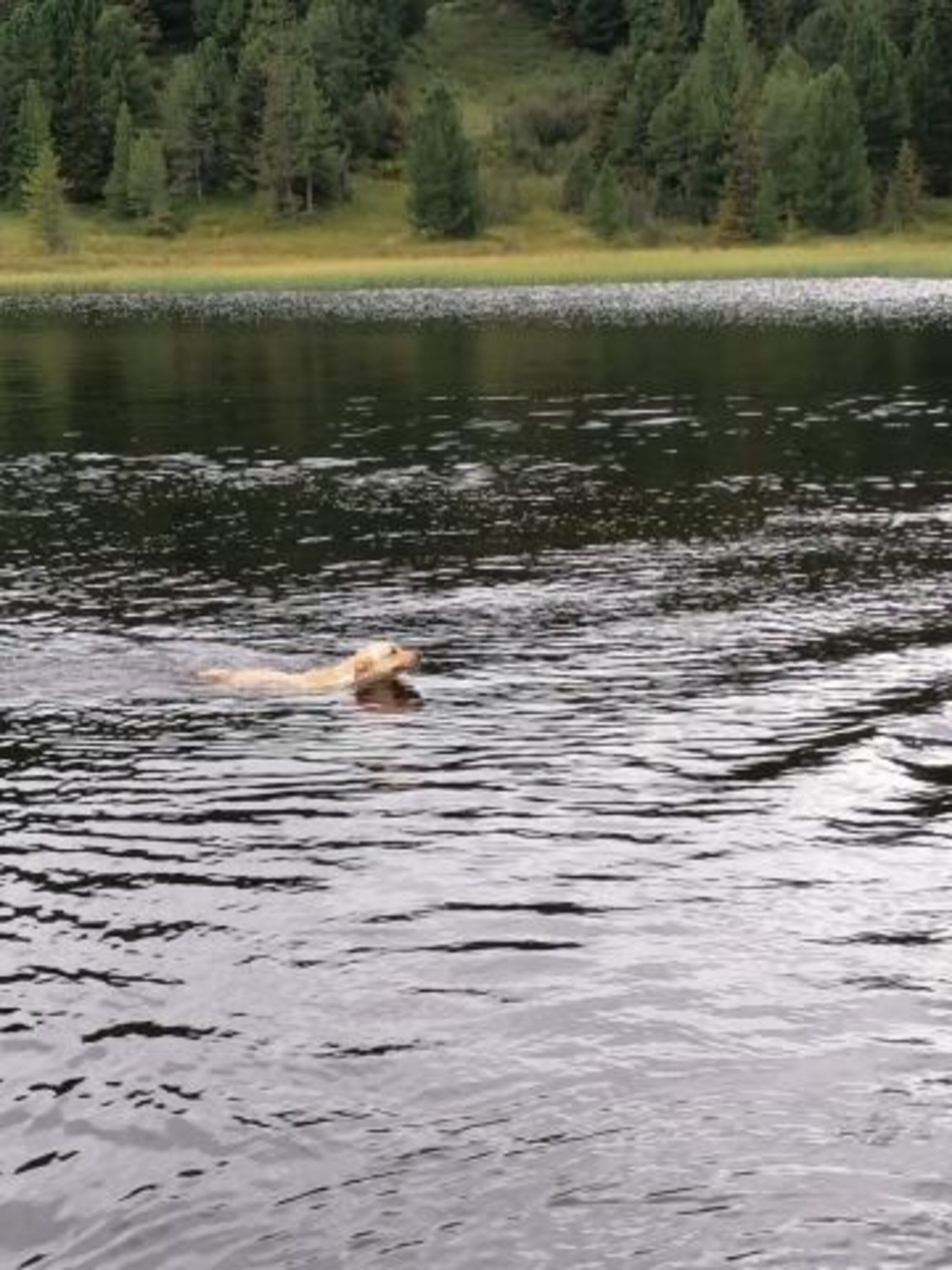 Bild 13