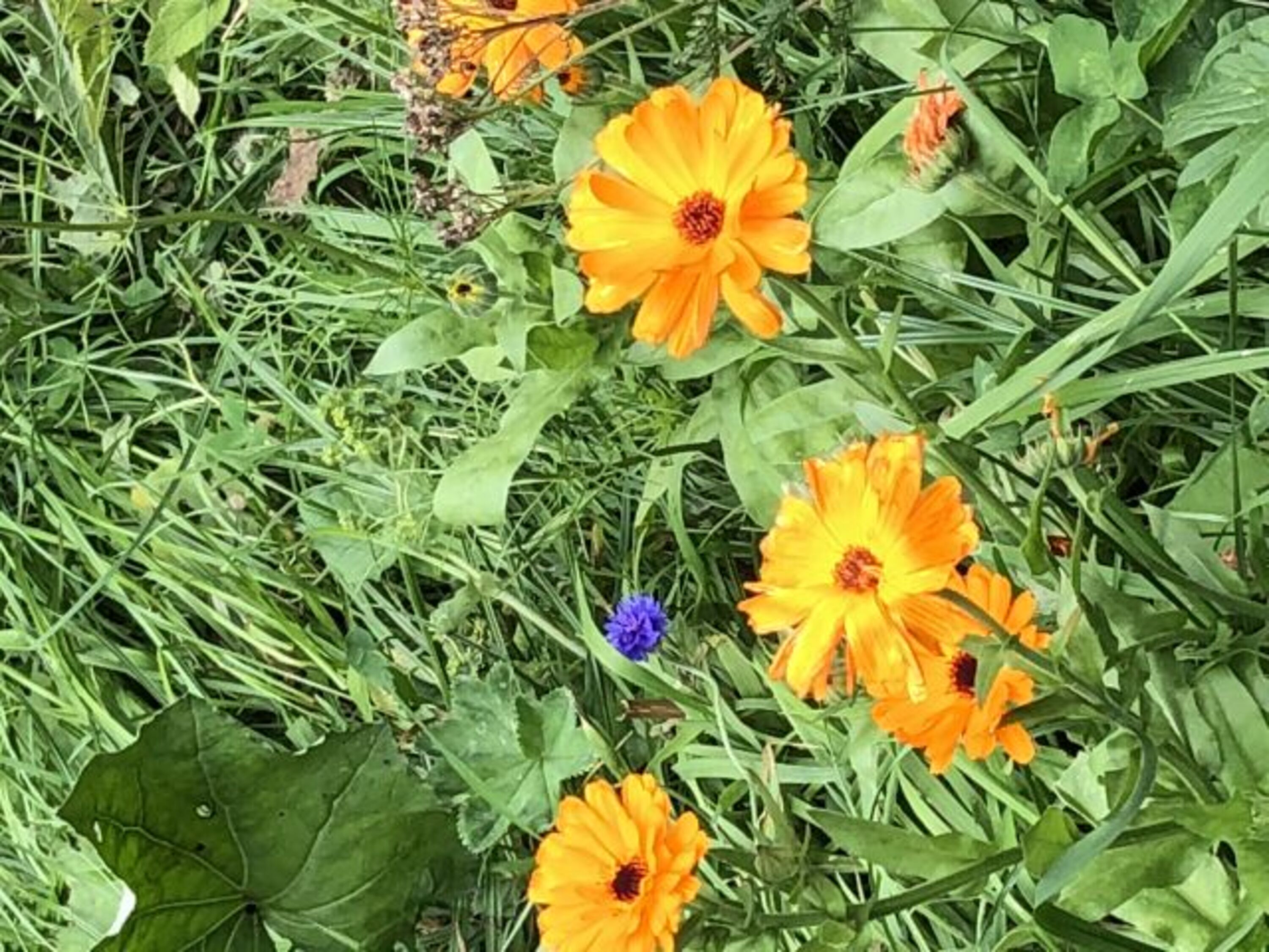 Bild 2