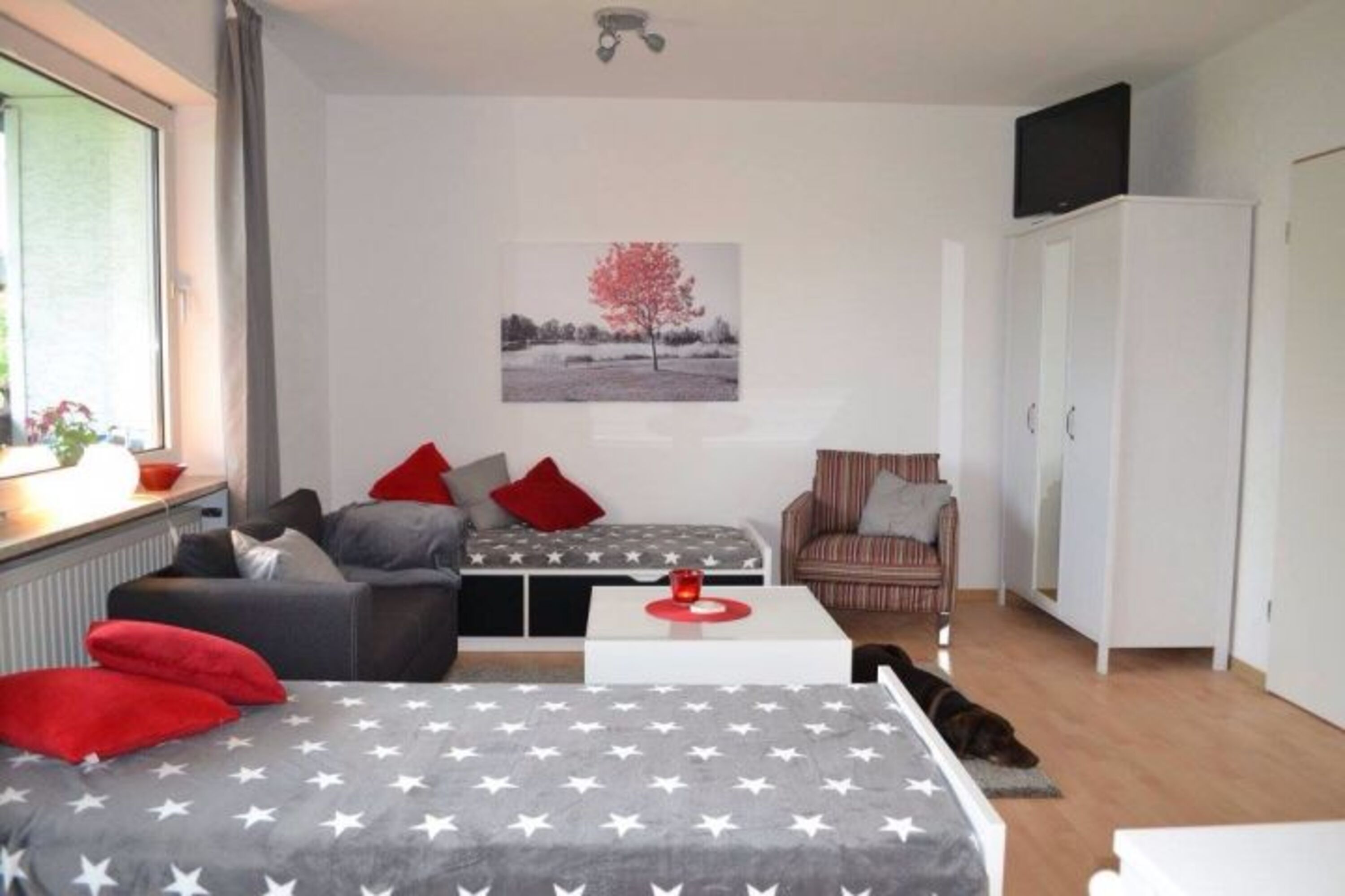 Bild 13