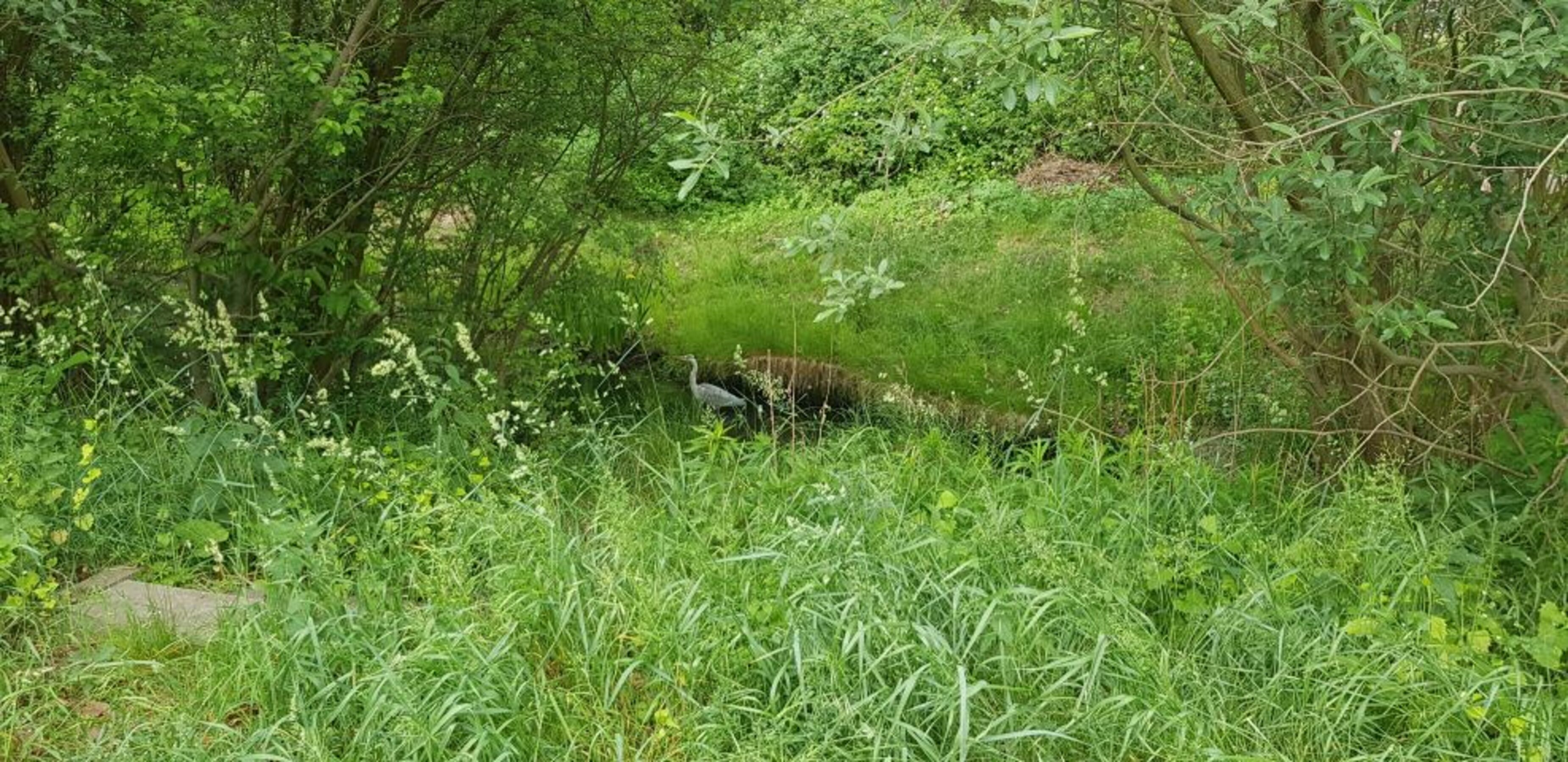 Bild 17