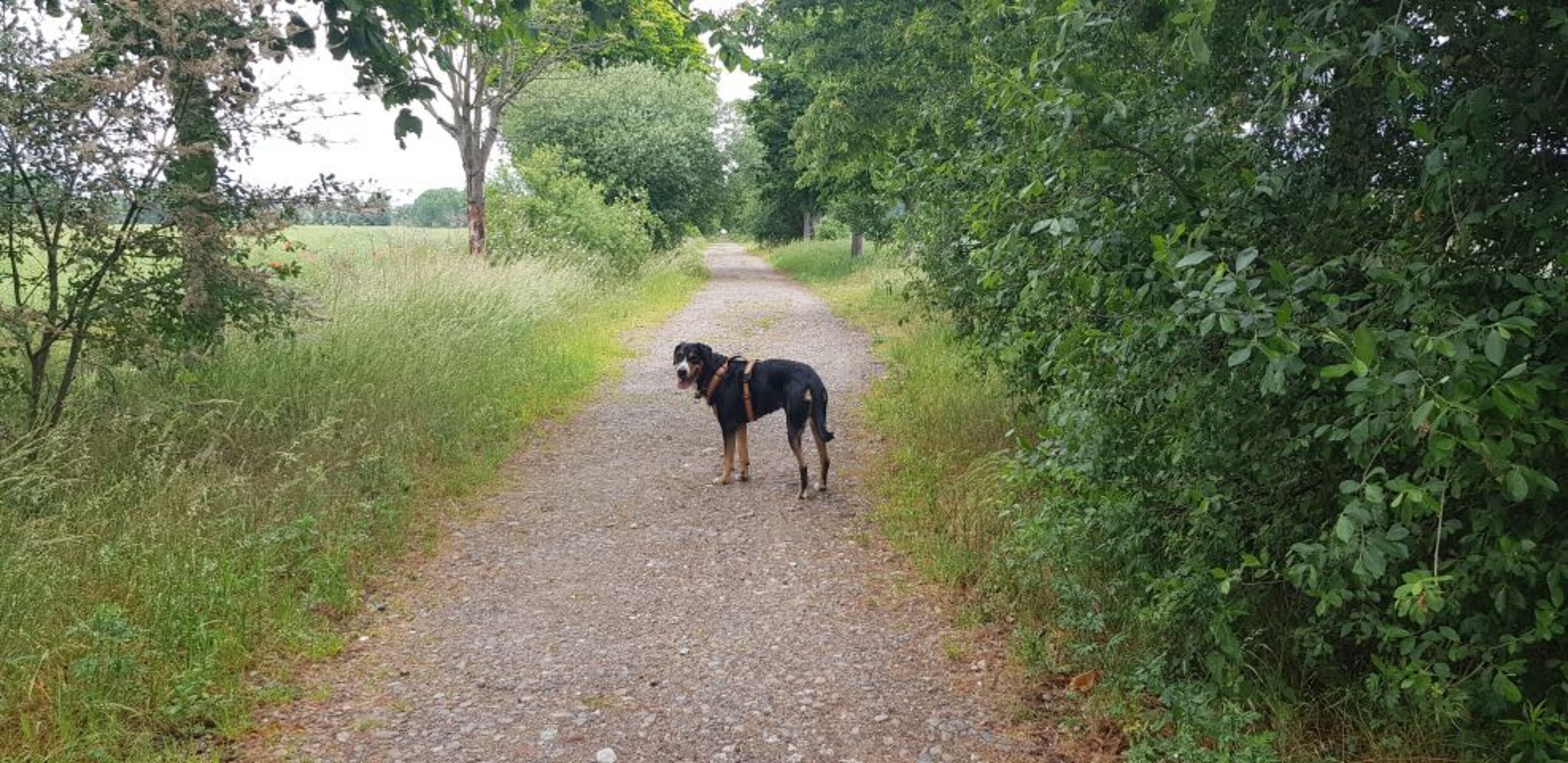 Bild 14