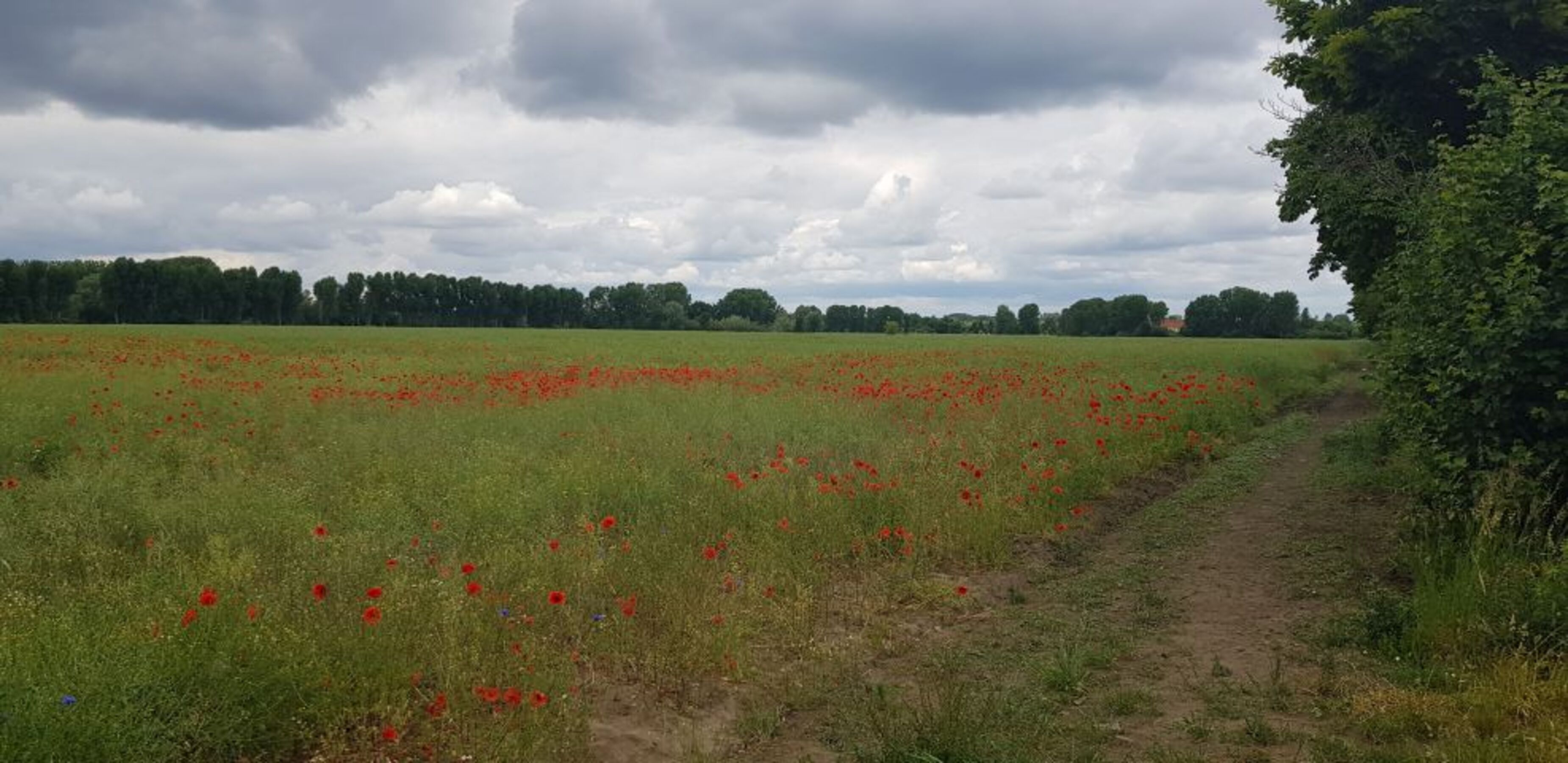 Bild 13