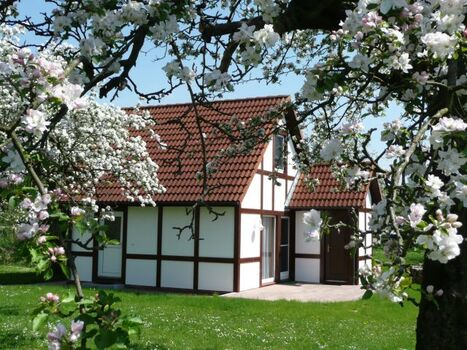 Hausbeispiel Scout 60