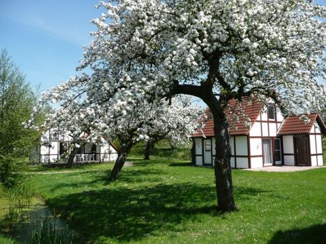 Hausbeispiel Scout 60