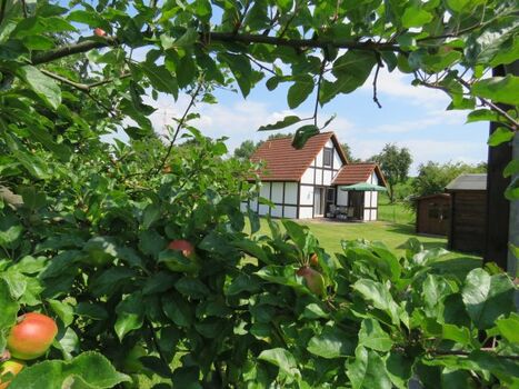 Hausbeispiel Scout 60