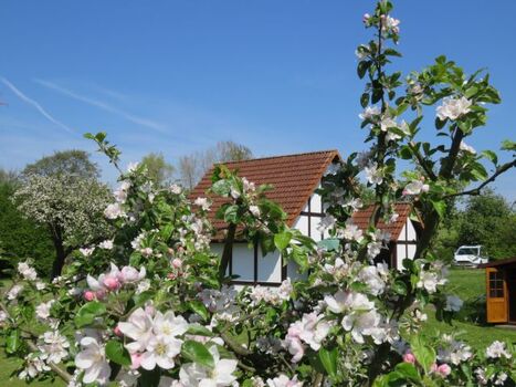 Hausbeispiel Scout 60