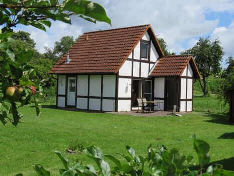 Hausbeispiel Scout 60