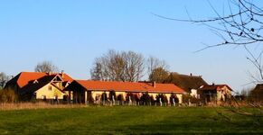 Hundetraum mit direktem Meerblick und Hundestrand