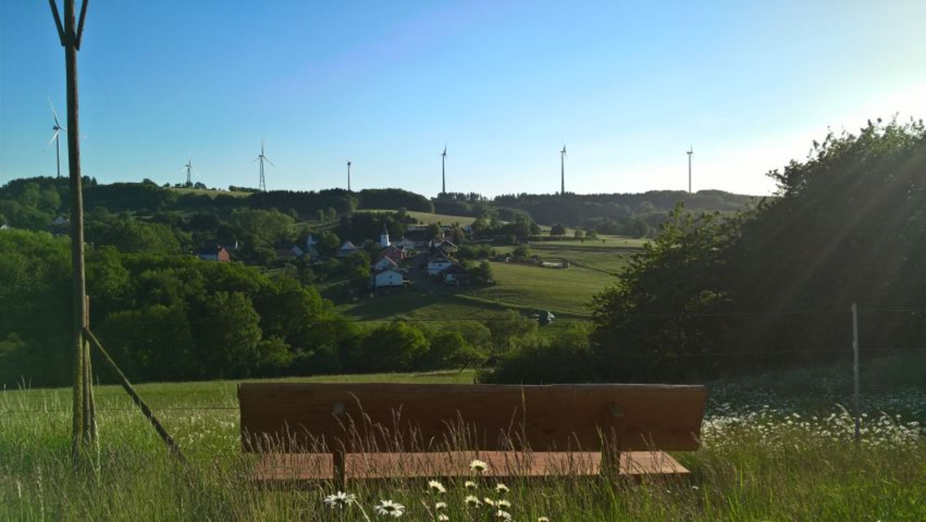Bild 19