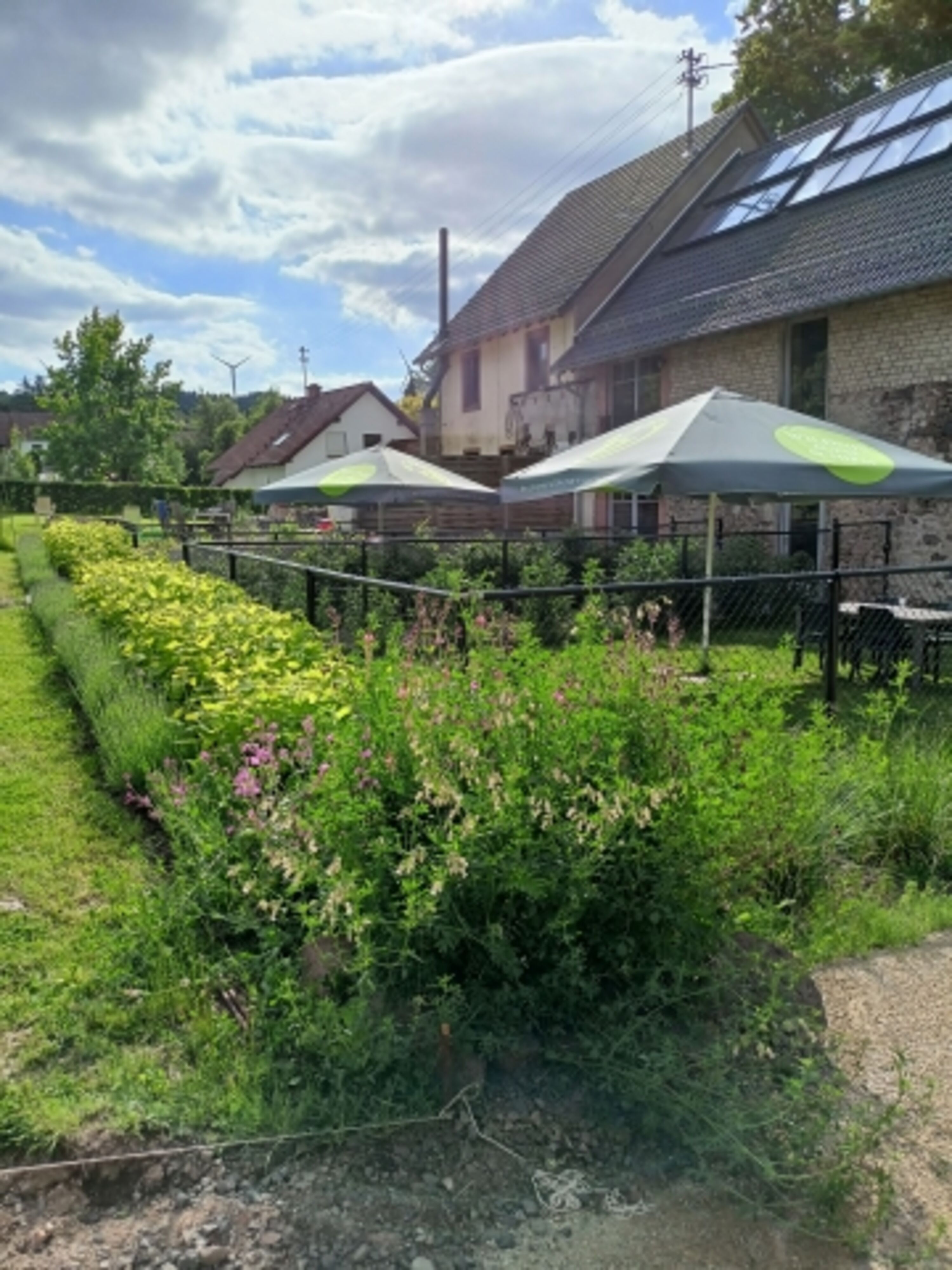 Bild 15