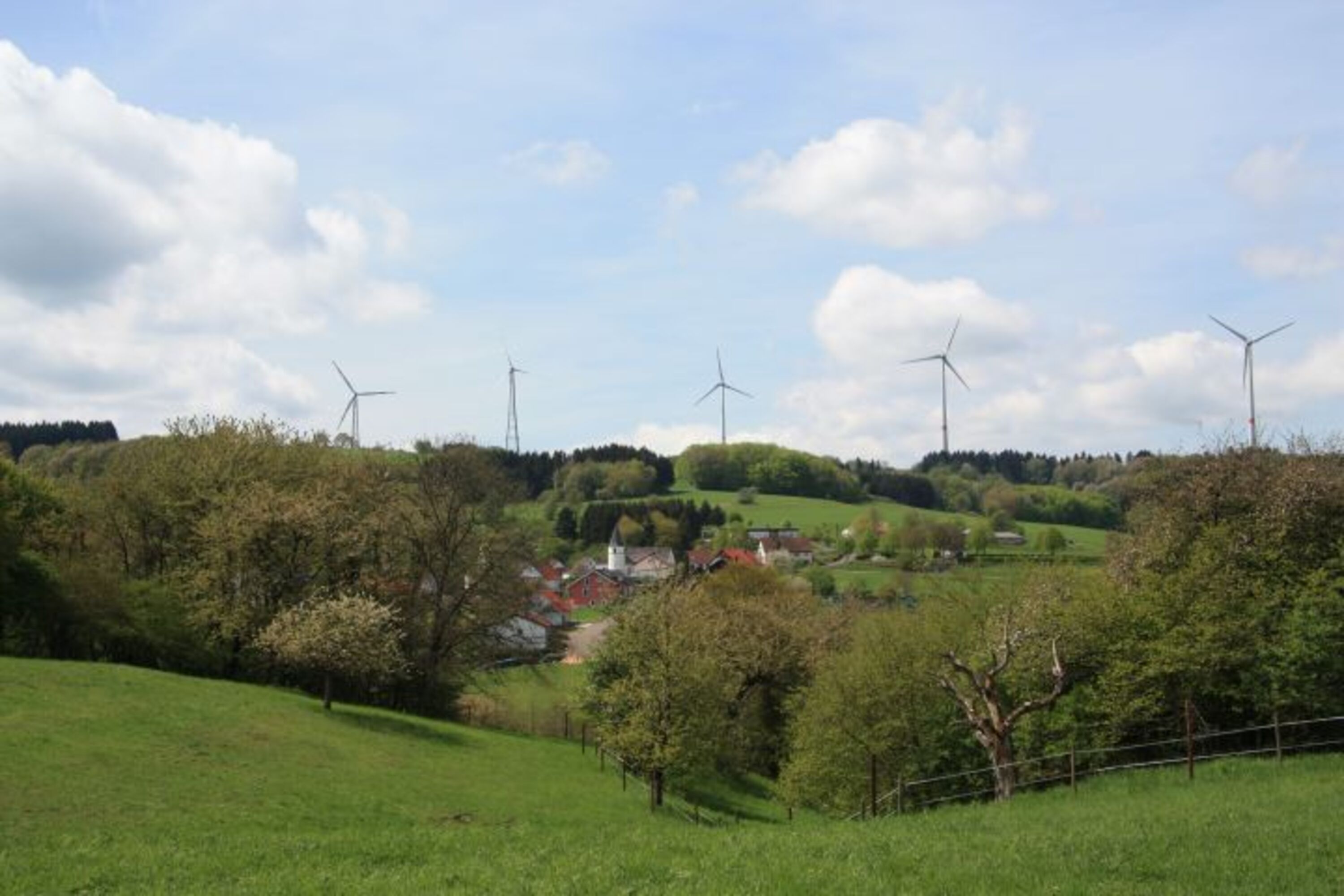 Bild 20