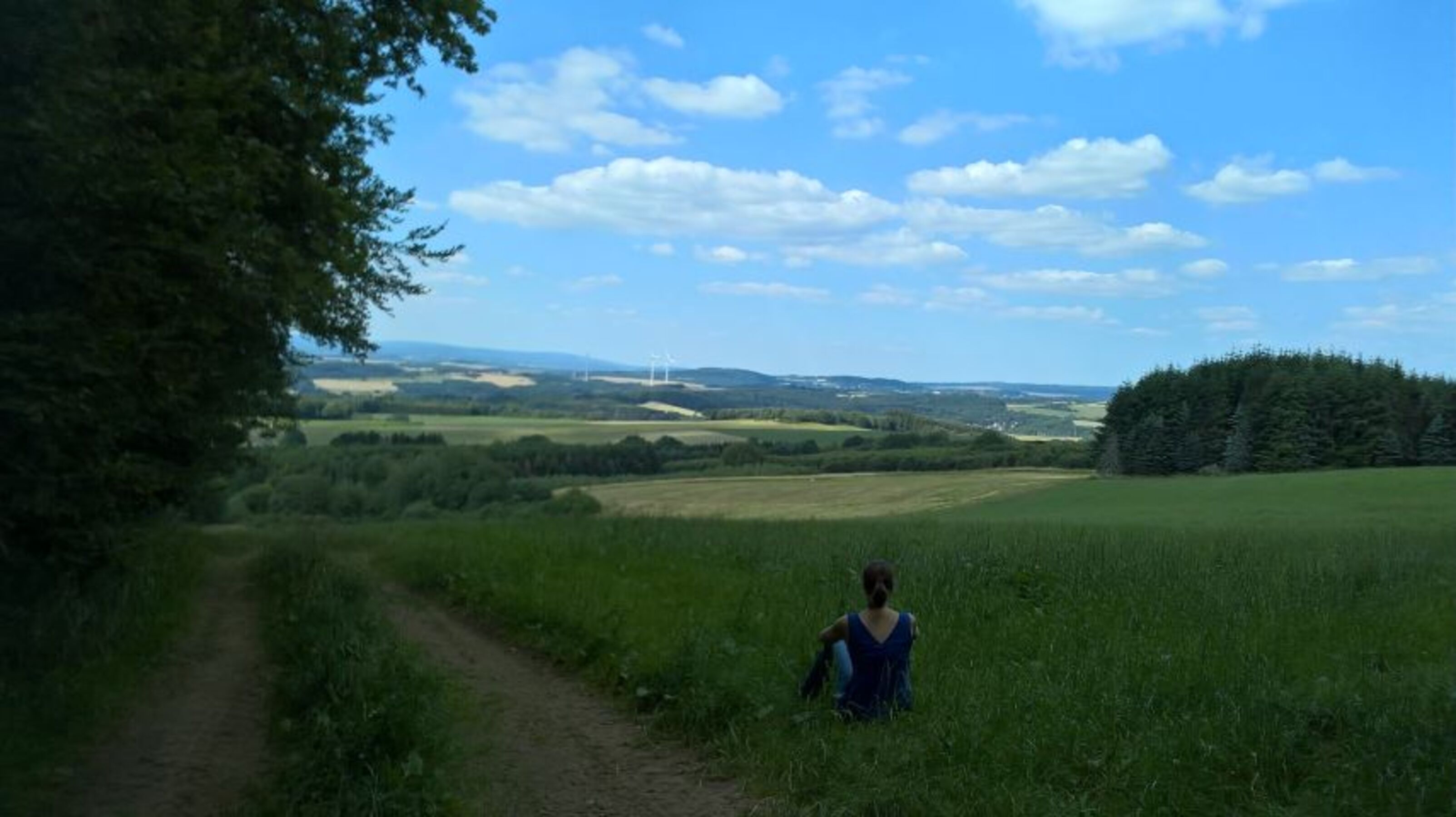 Bild 18