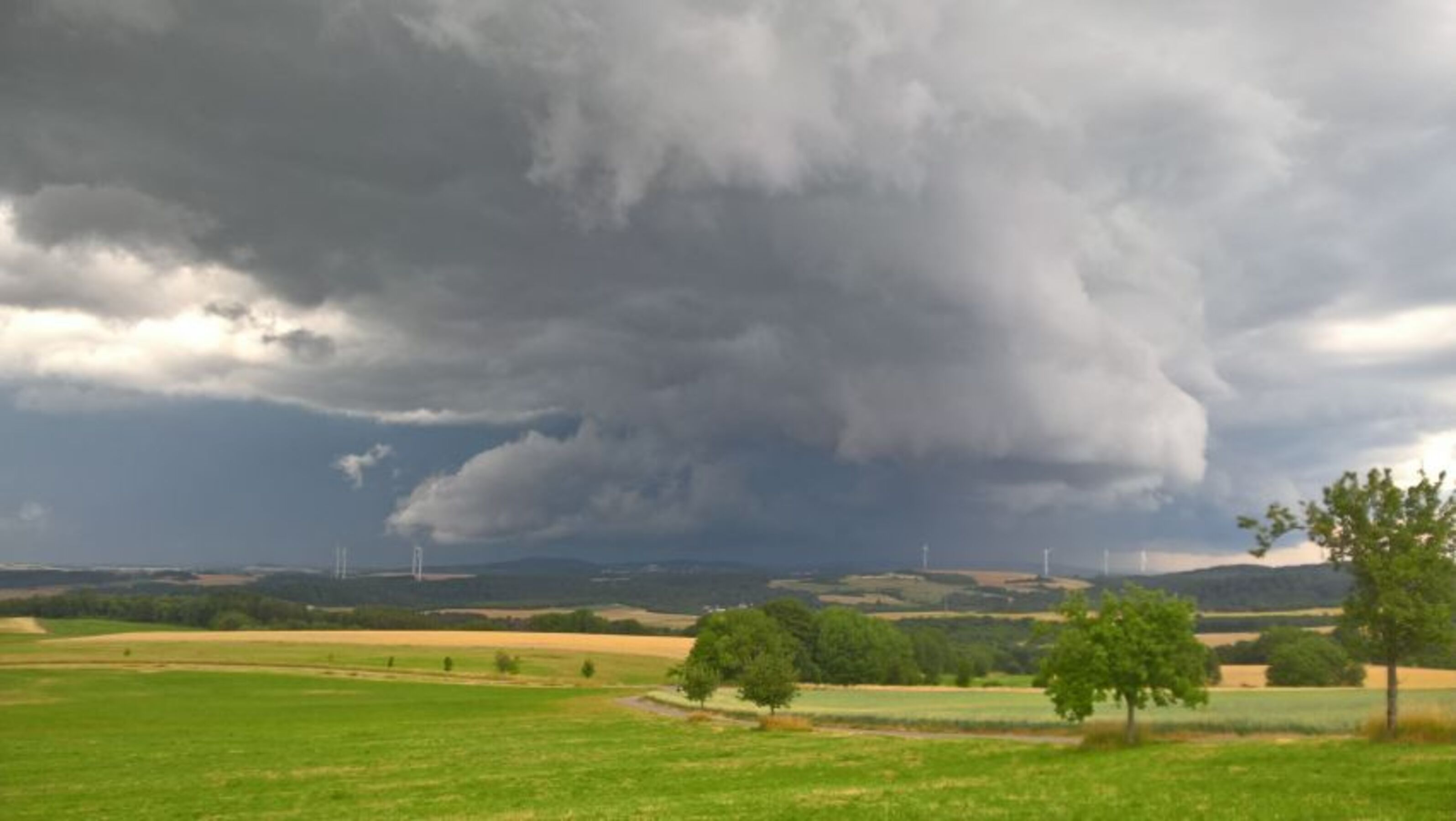 Bild 17