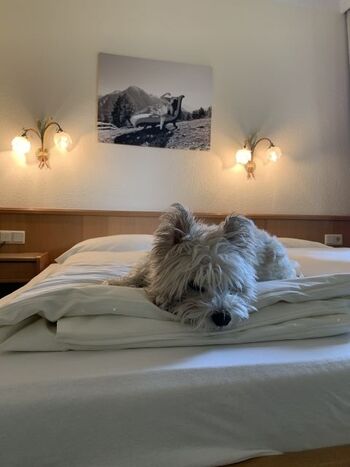 Doppelzimmer Bergblick