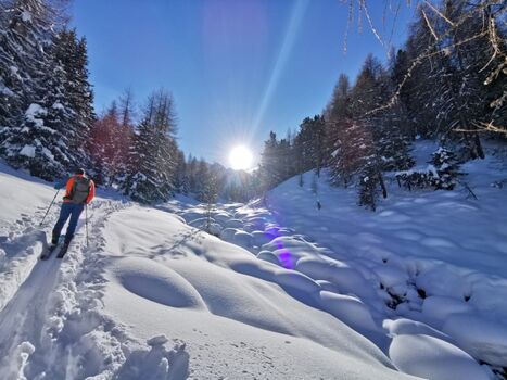 Skitour mit 4-beinigen Begleitern