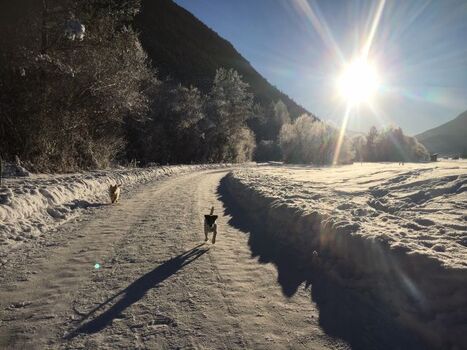 Winterwandern in Tarrenz
