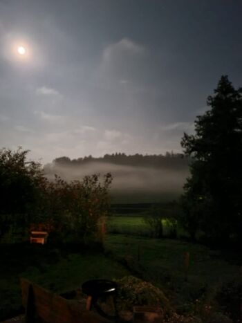 Im Mondschein träumen - wie unsere lieben Gäste, die dieses Foto aufgenommen haben