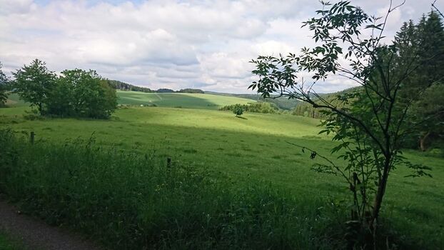 einfach mal die Seele baumeln lassen