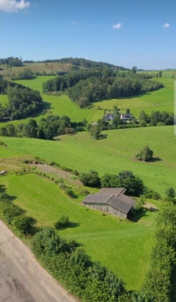 Grüner geht es wirklich nicht - Mittelworbscheid von oben