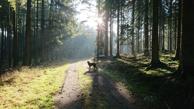 magische Momente erleben