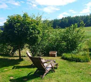 In der Sonne träumen 