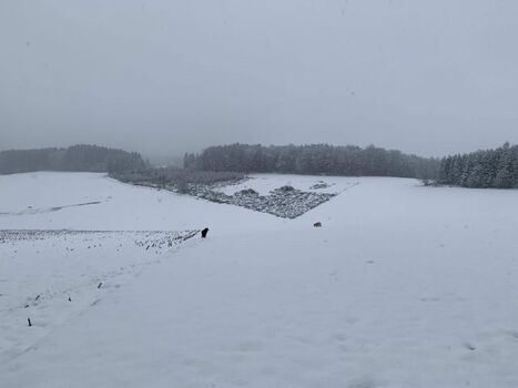 Schneegestöber direkt vor der Tür