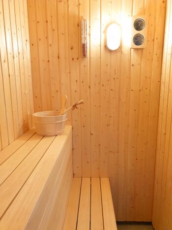 die Sauna