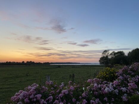 Sonnenuntergang an der Mole