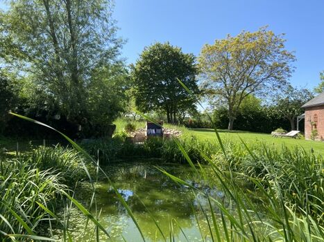 Sitzplatz am Teich im Strandkorb