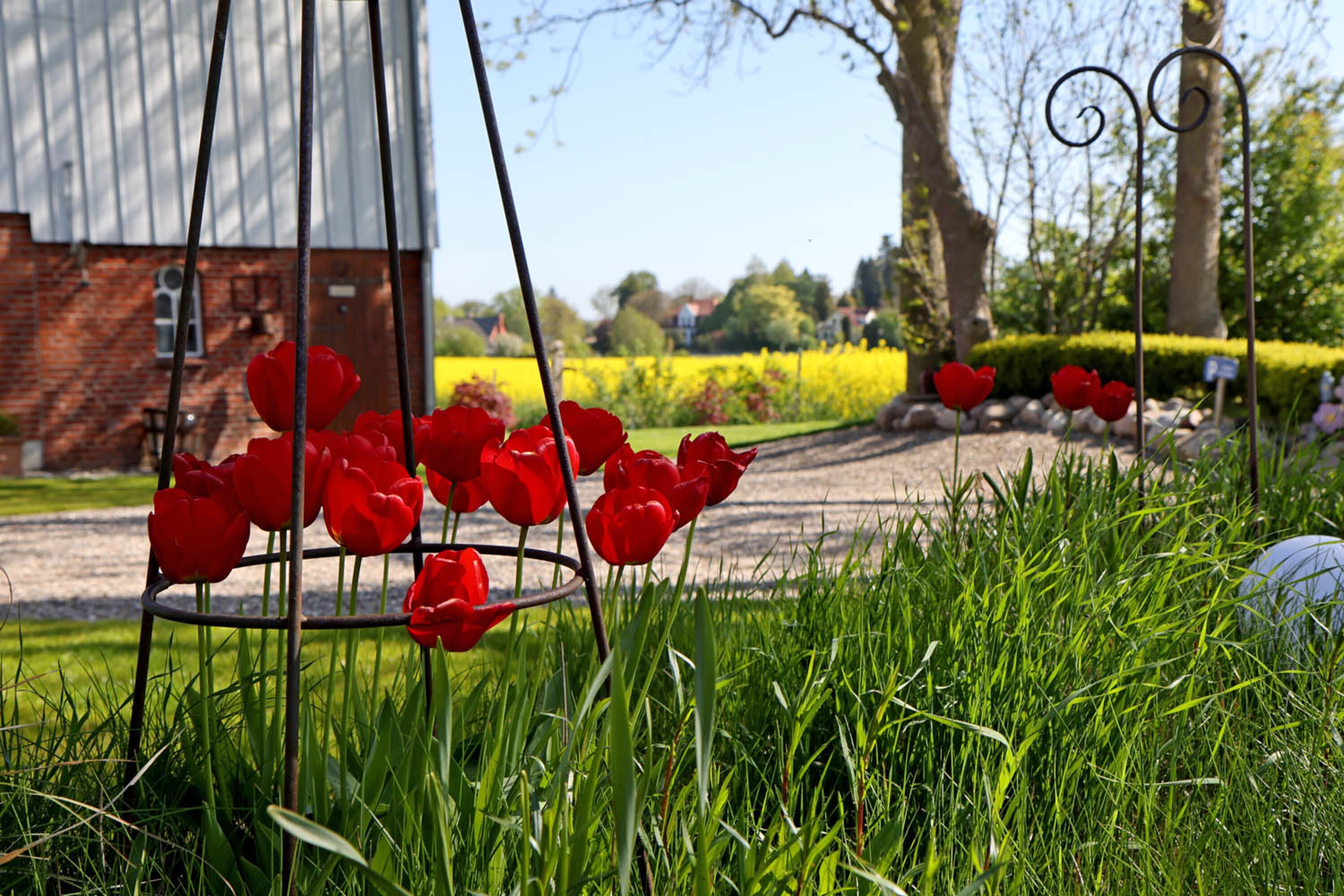 Garten mit GästeParkplatz