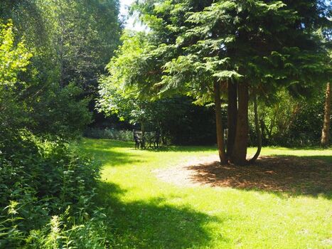 Spiel- und Liegewiese