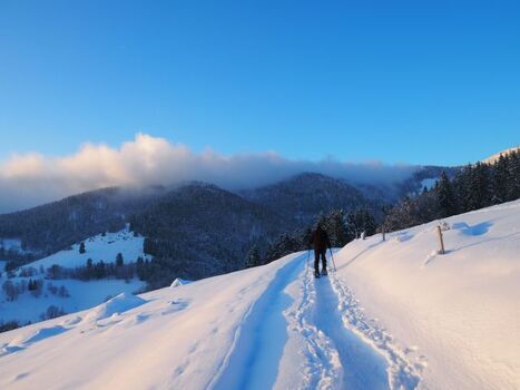 Schneeschuh-Wanderung