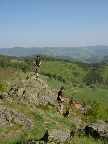 auf dem Heideck-Felsen