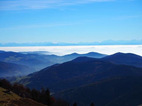 Alpensicht auf dem Belchen