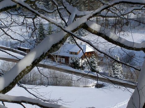 Eichehüsli im Winter