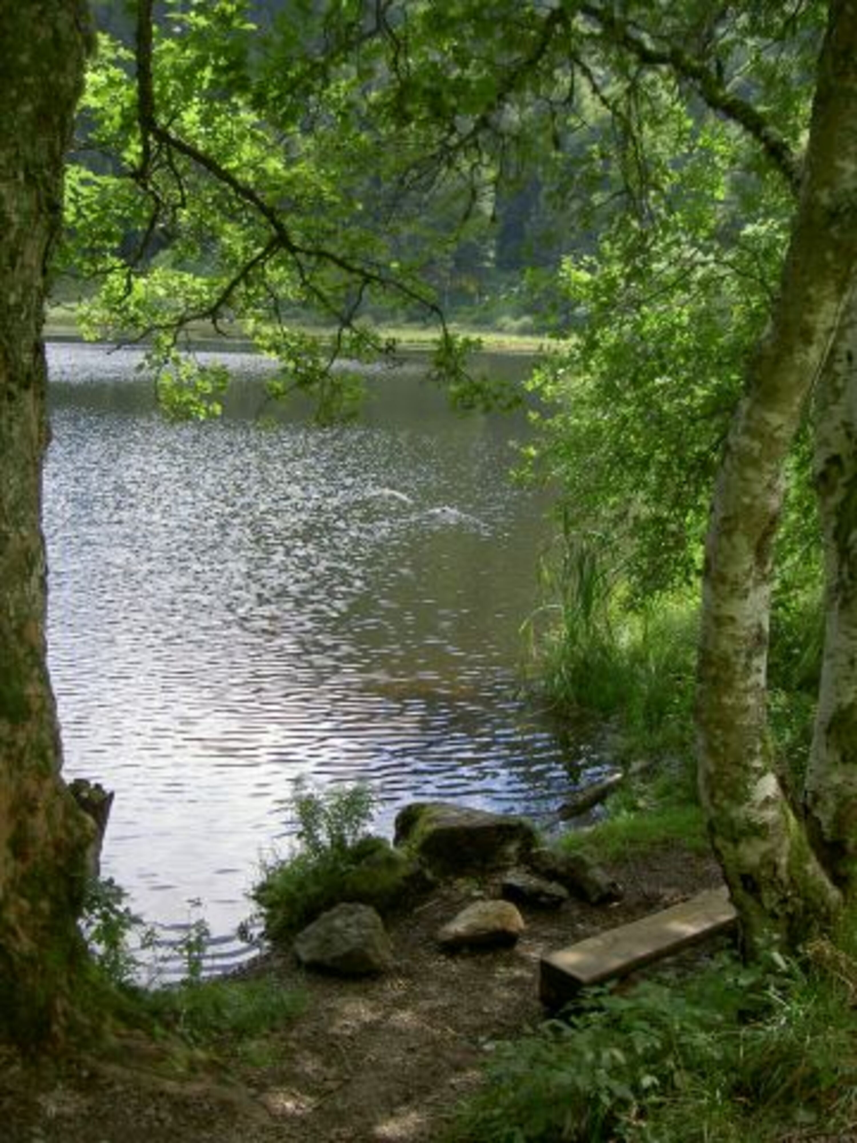 am Nonnenmattweiher