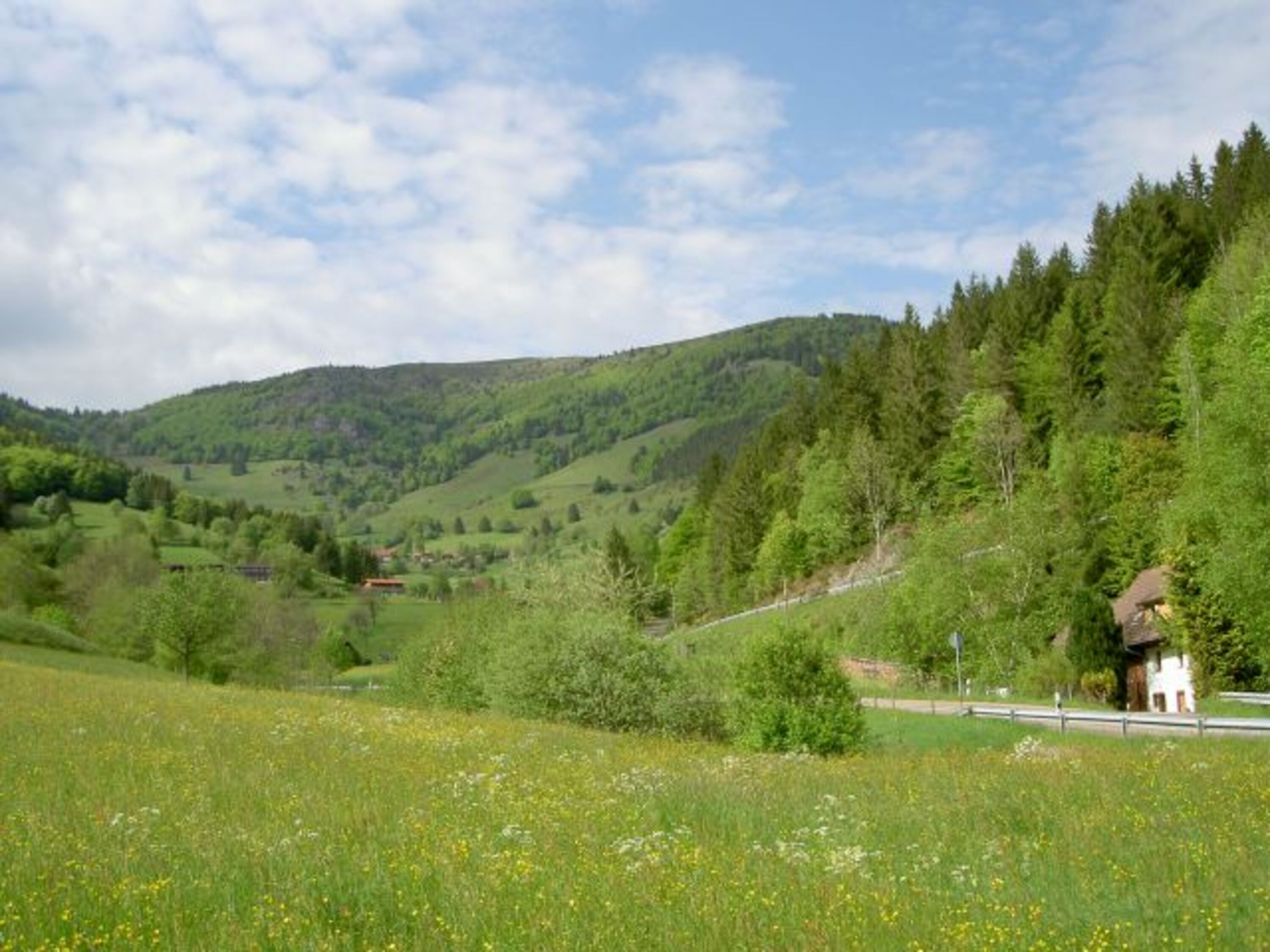 Blick zum Belchen