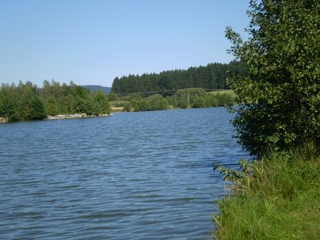 Erlauzwieseler See
