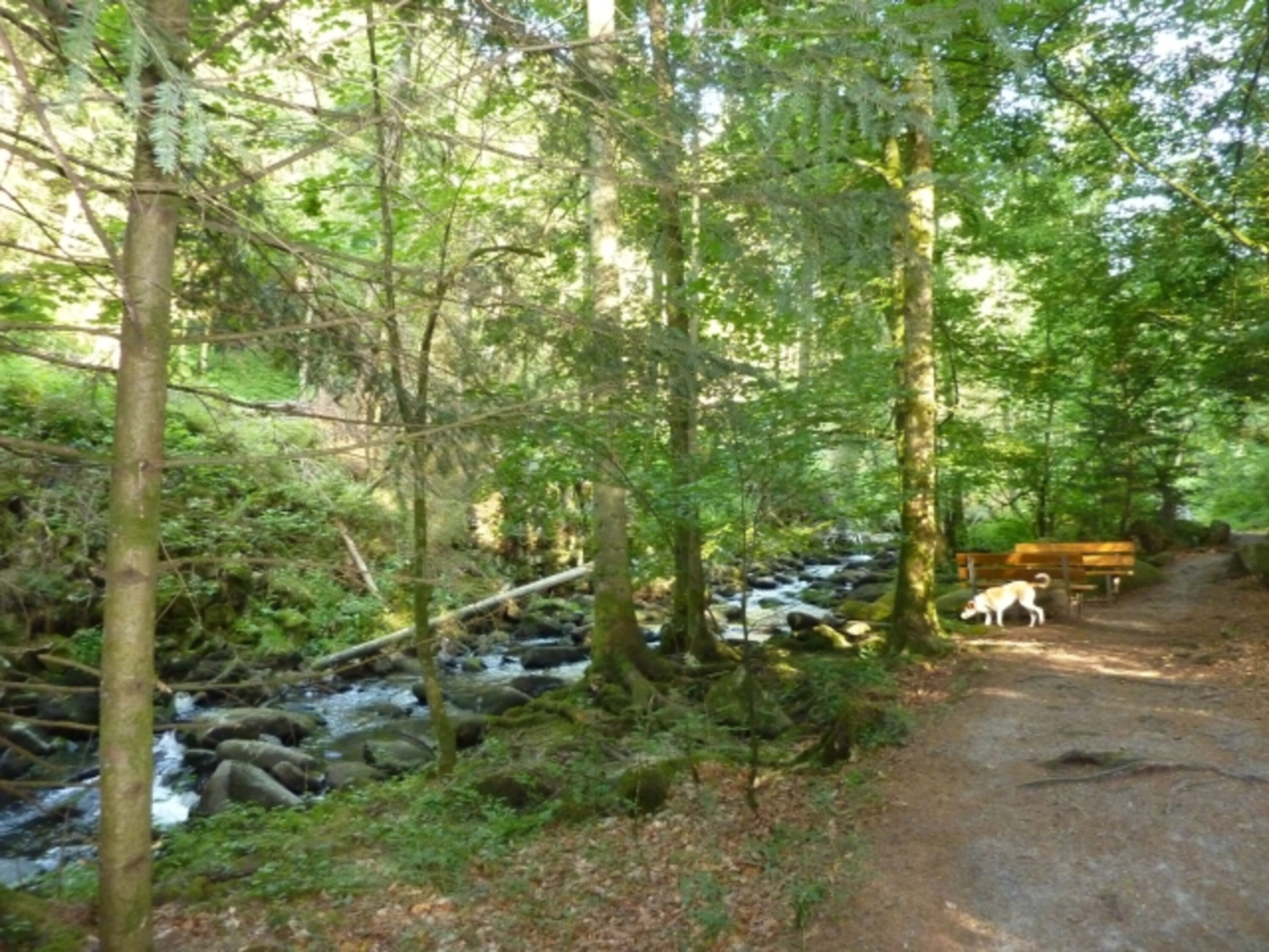 Saußbachklamm