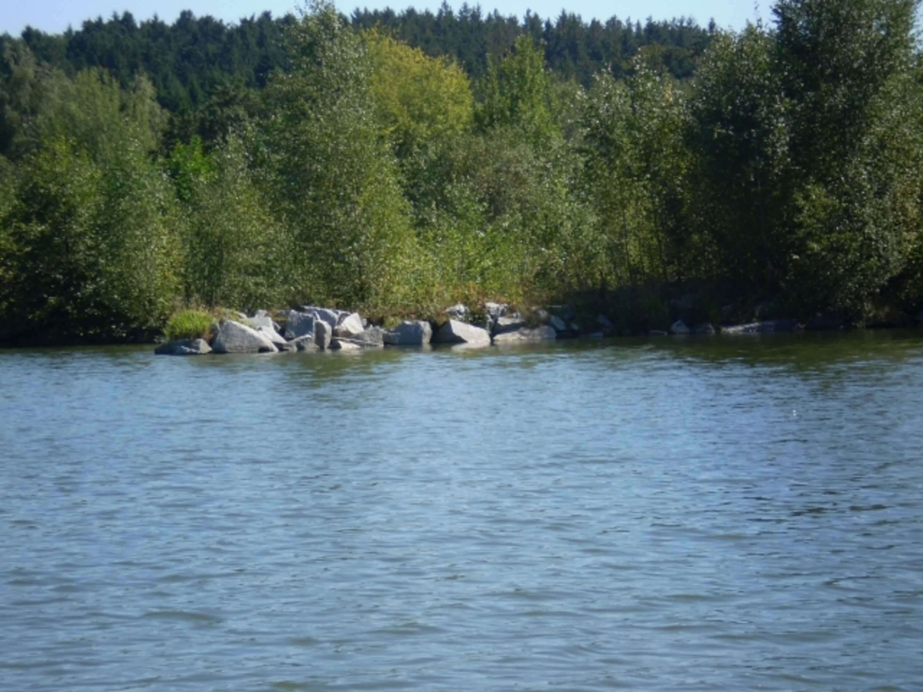 Erlauzwieseler See