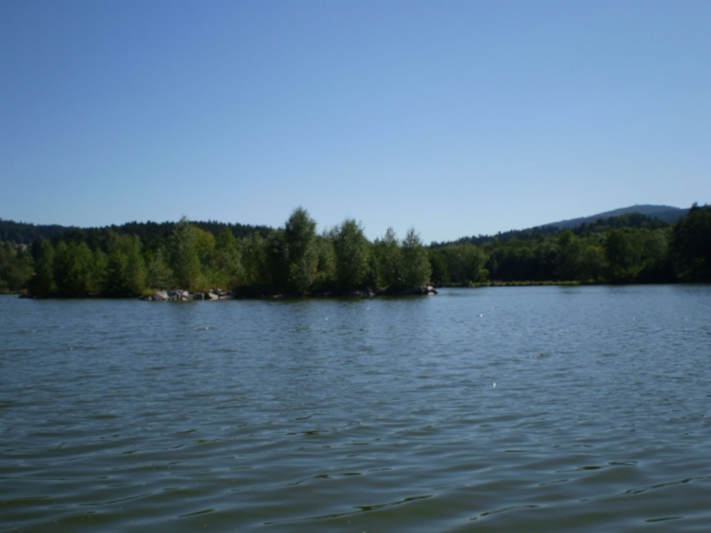 Erlauzwieseler See