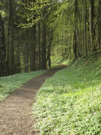 Premium Wander-Wege direkt vor der Haustür
