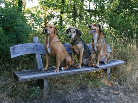 auch wir brauchen mal eine Ruhepause beim Wandern...
