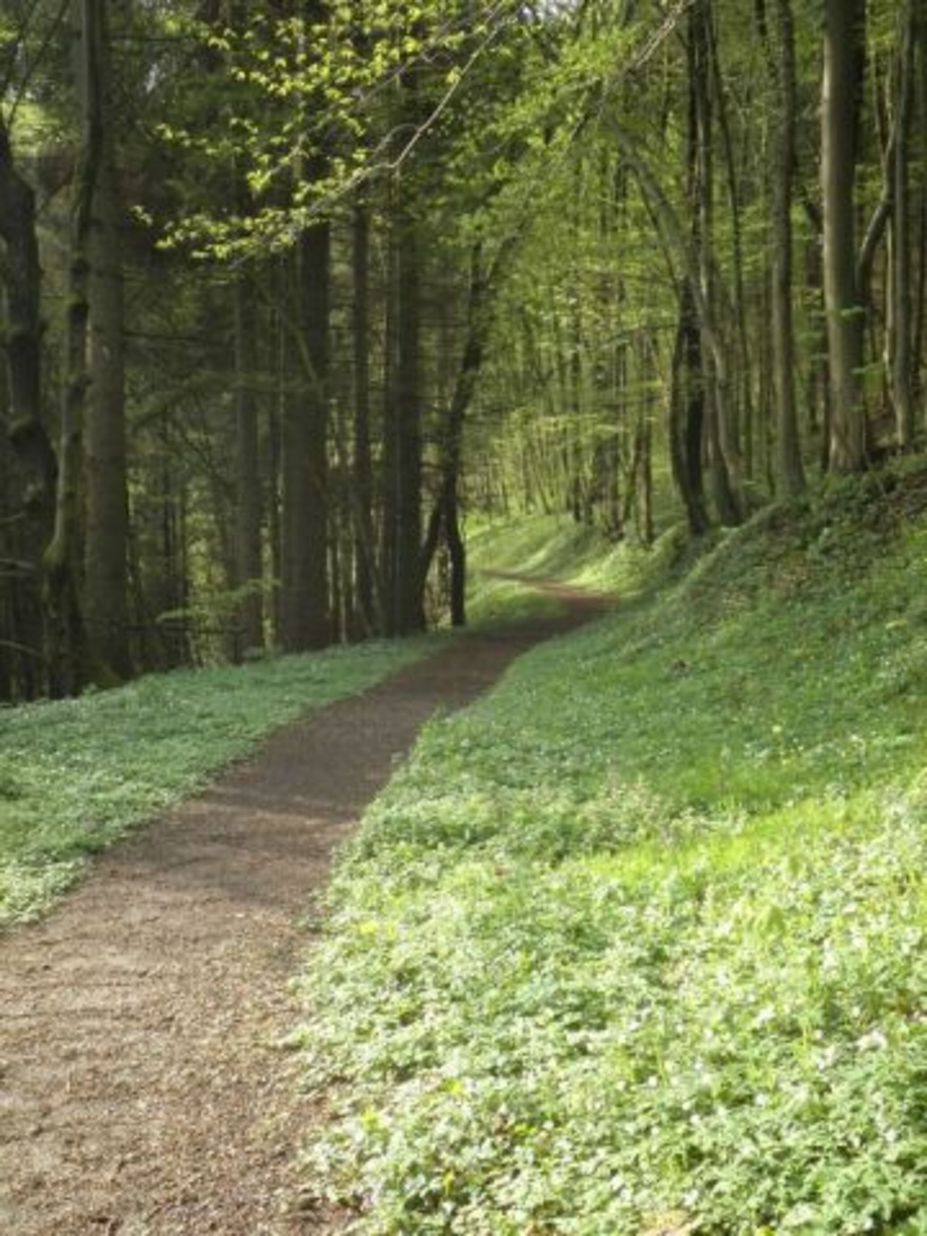 Premium Wander-Wege direkt vor der Haustür