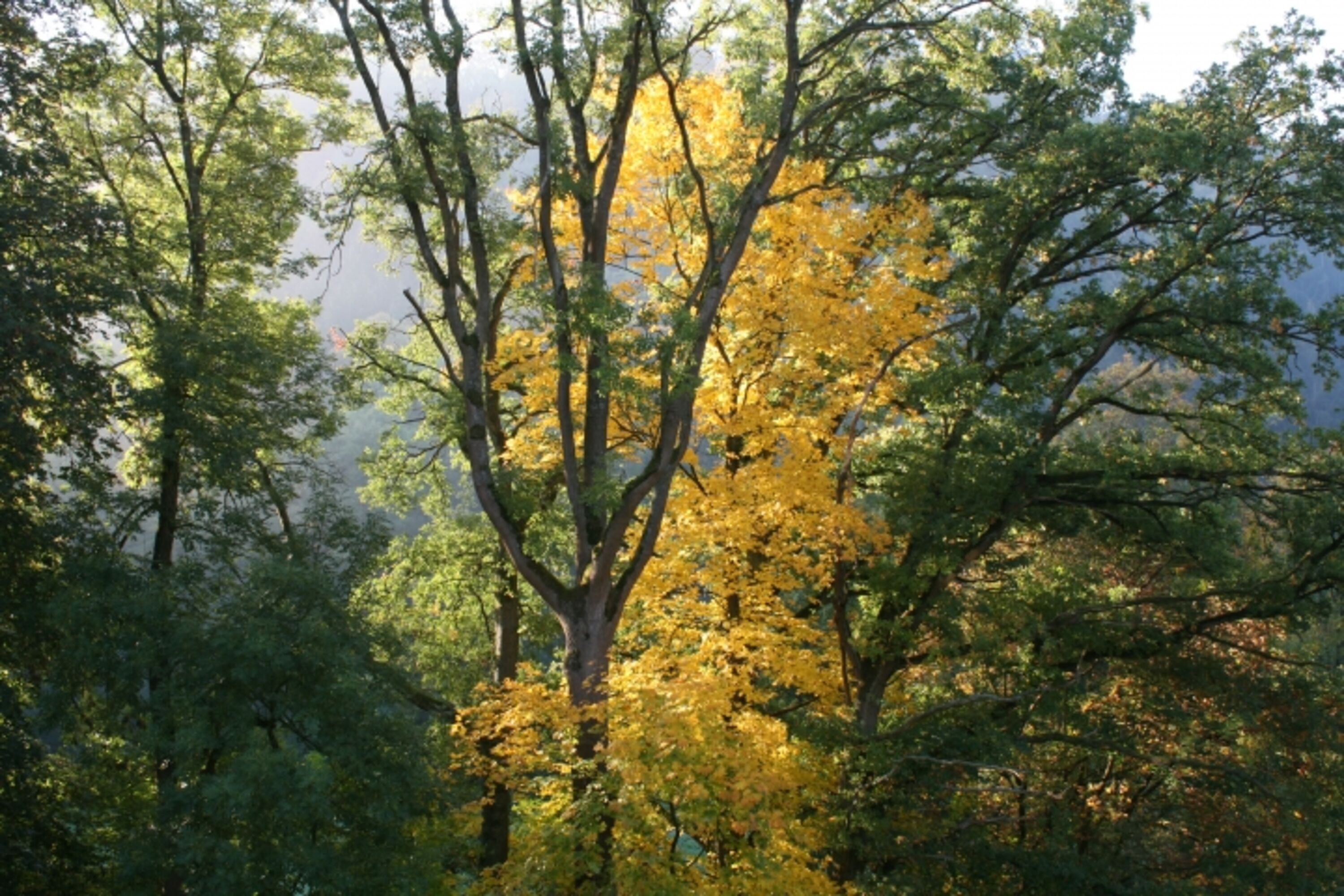 Bild 23