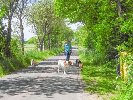 Gassigang direkt vom Haus